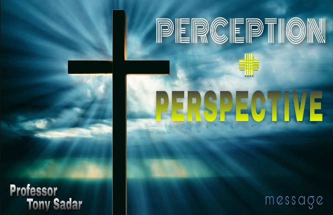 PERCEPTION AND PERSPECTIVE - Professor Tony Sadar